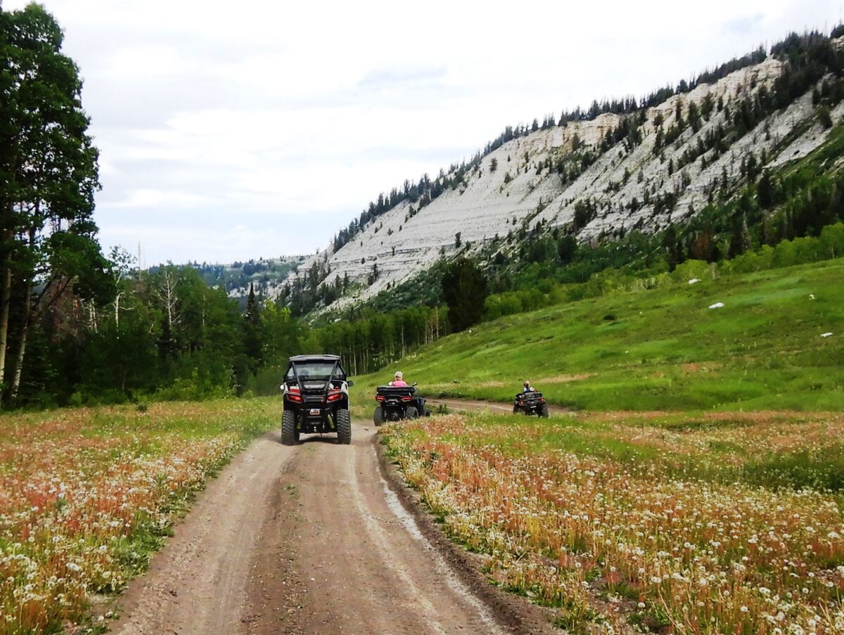 ATV Adventures 2 more OHV jamborees in the MantiLa Sal Mountains in